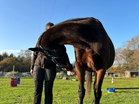 Grand Galop Rennes-Goven必去景点