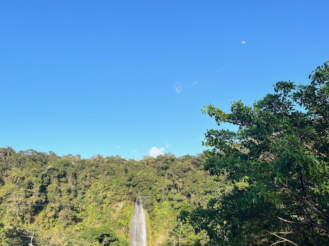 Parque De Aventura Eco Musas景点图片