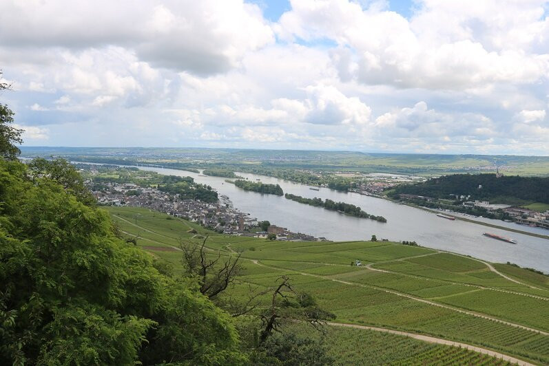 Seilbahn Rudesheim景点图片