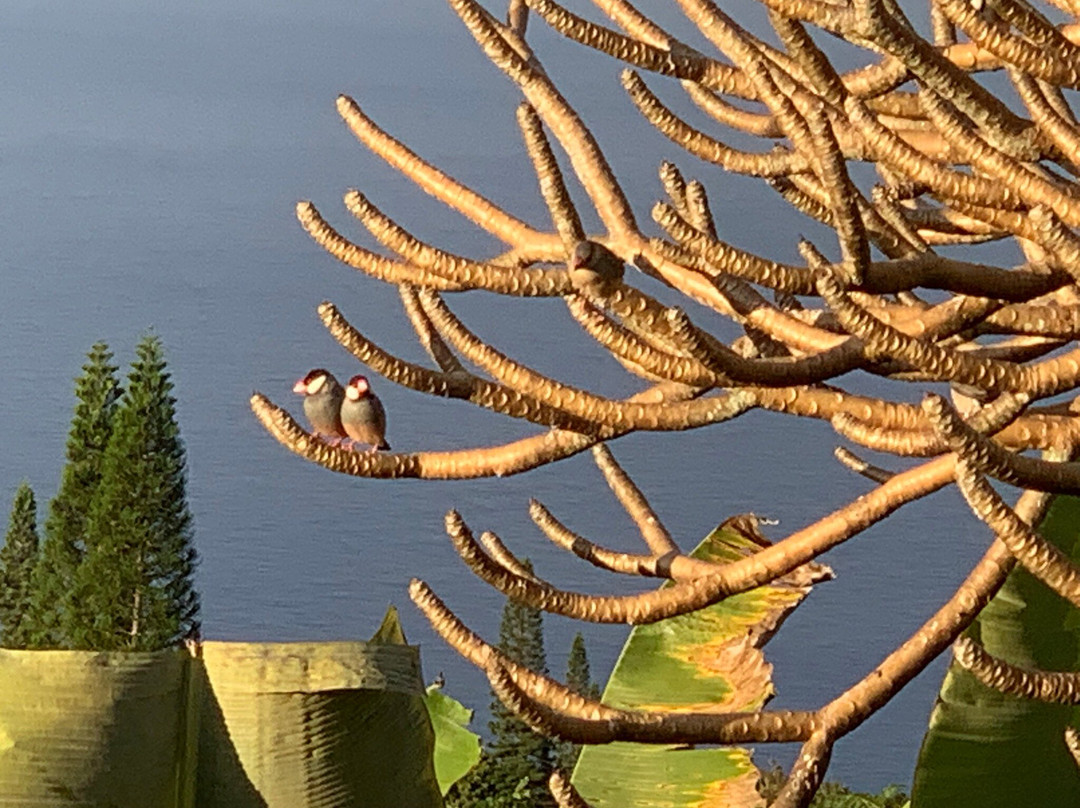 贝尔奴考纳旅社主图