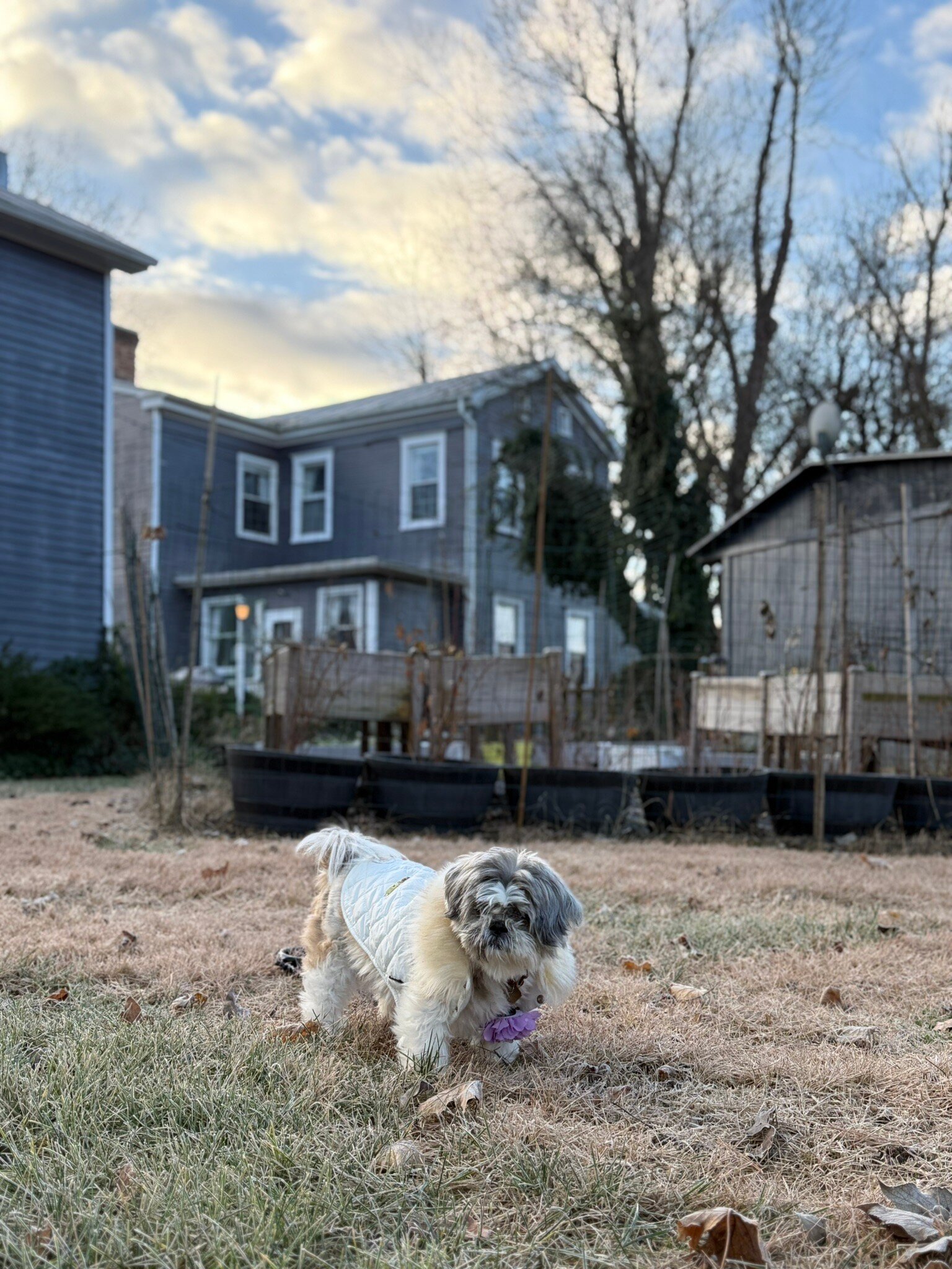 River Bluff Farm Bed & Breakfast-官方