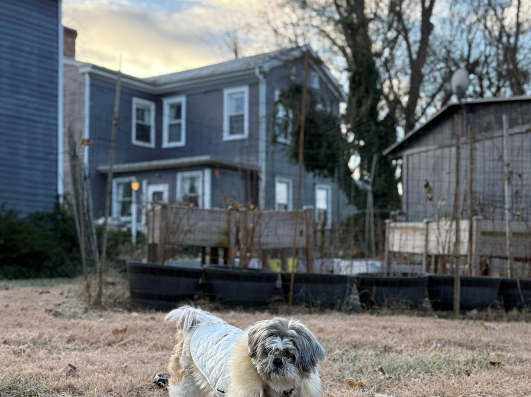 River Bluff Farm Bed & Breakfast主图