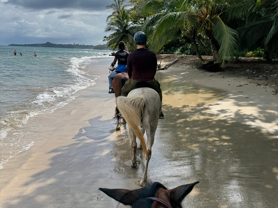 Caribe Horse Riding Club景点图片