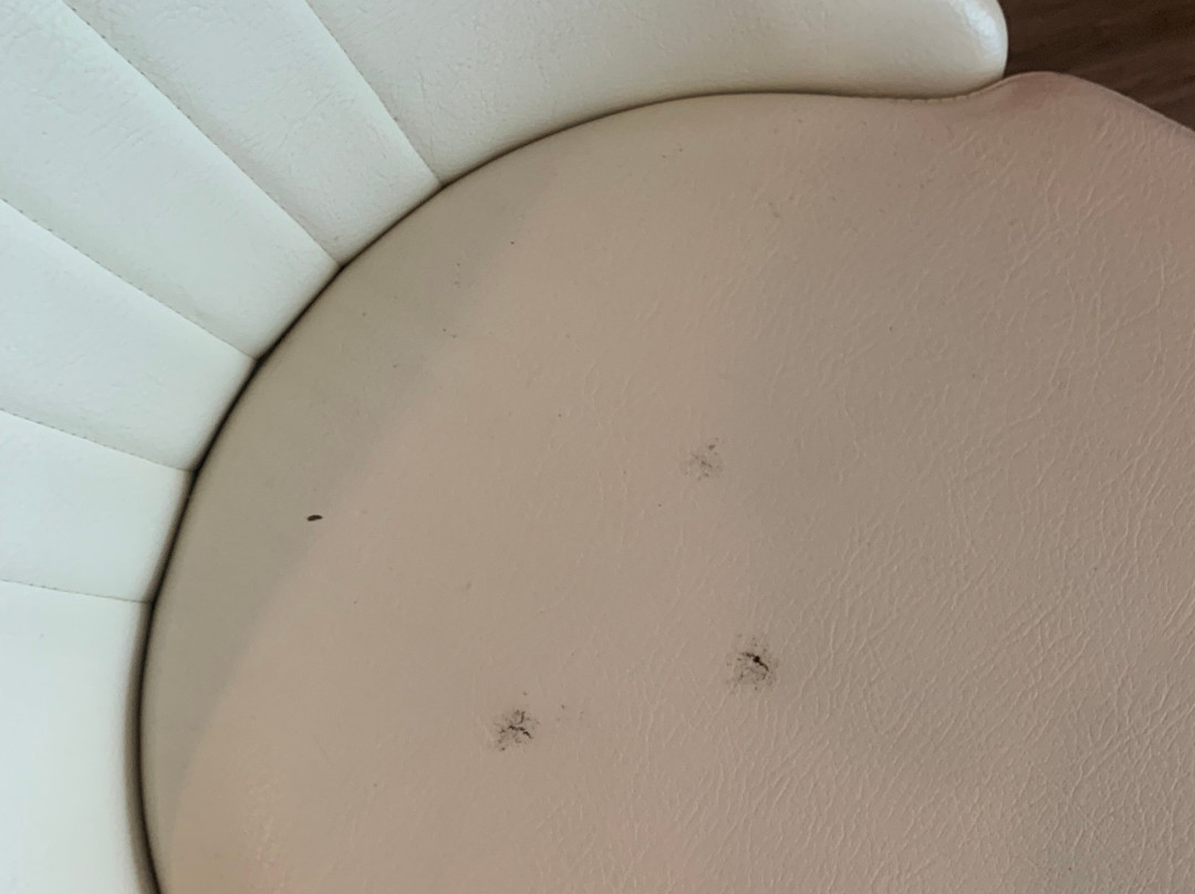 Dunama Hotel & Casino主图