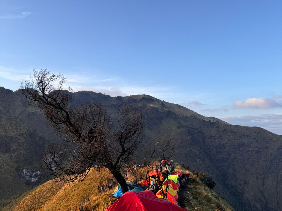 Mount Merbabu景点图片