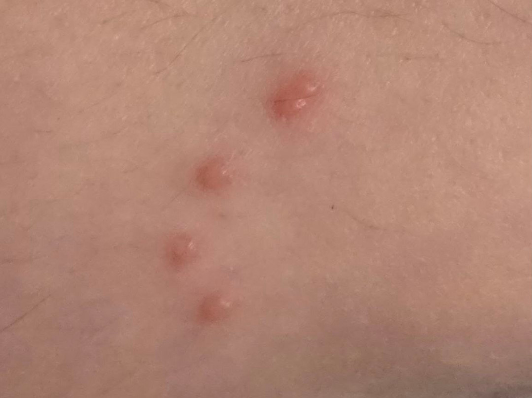 Holiday Inn Express & Suites Petersburg/dinwiddie By IHG主图