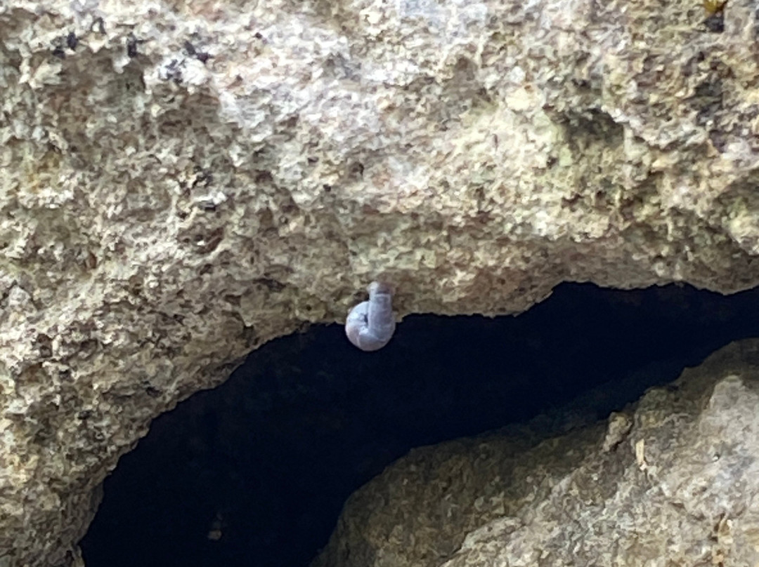 Masungi Georeserve-Rizal Province必去景点