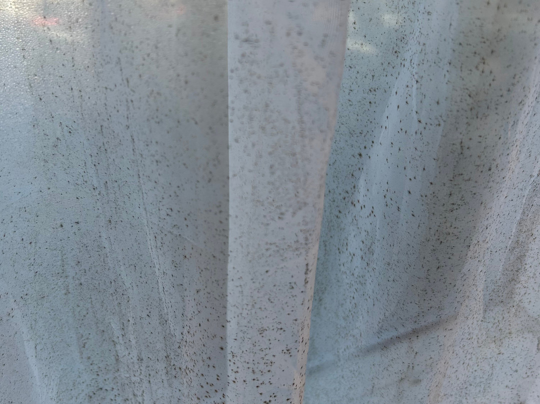 Miyako Hybrid Hotel主图