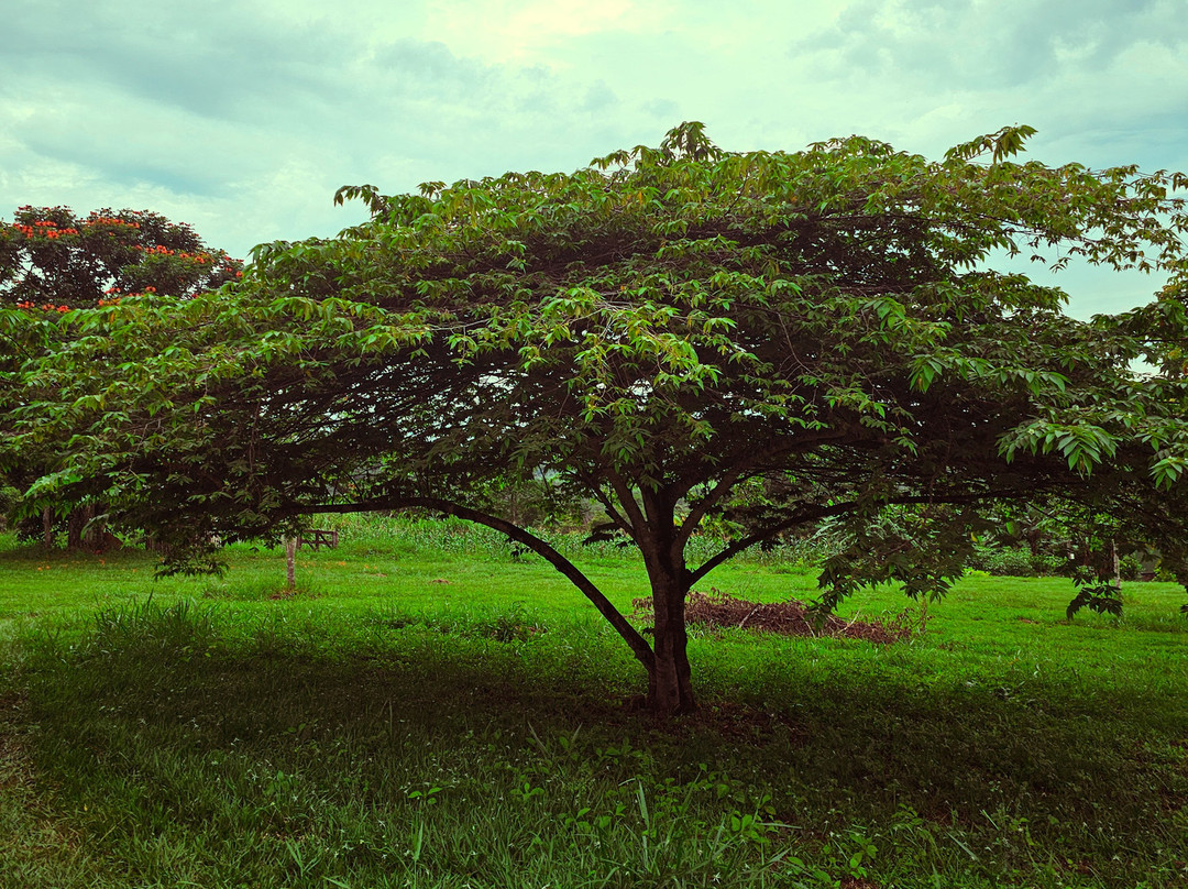 Pousada do Parque主图