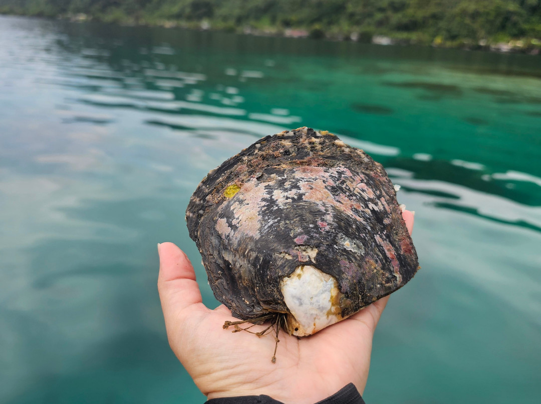 Tahiti iti pearl farm - La Ferme Perlière Touristique de Tahiti-景点图片