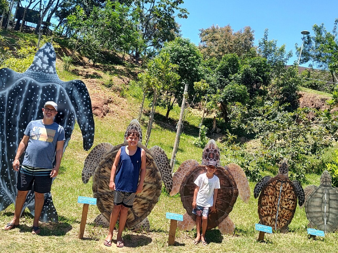 Fundação Projeto Tamar - Vitória景点图片