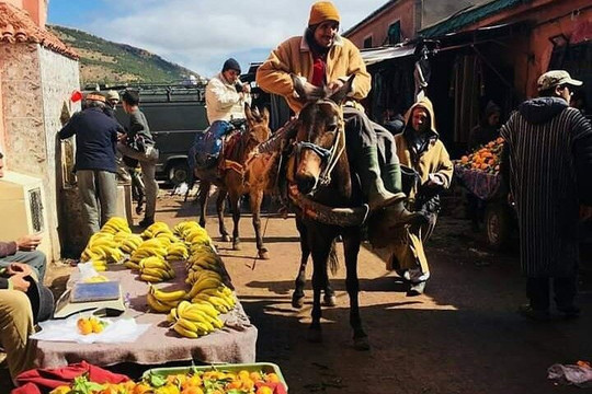 Imlil Trips-马拉喀什必去景点