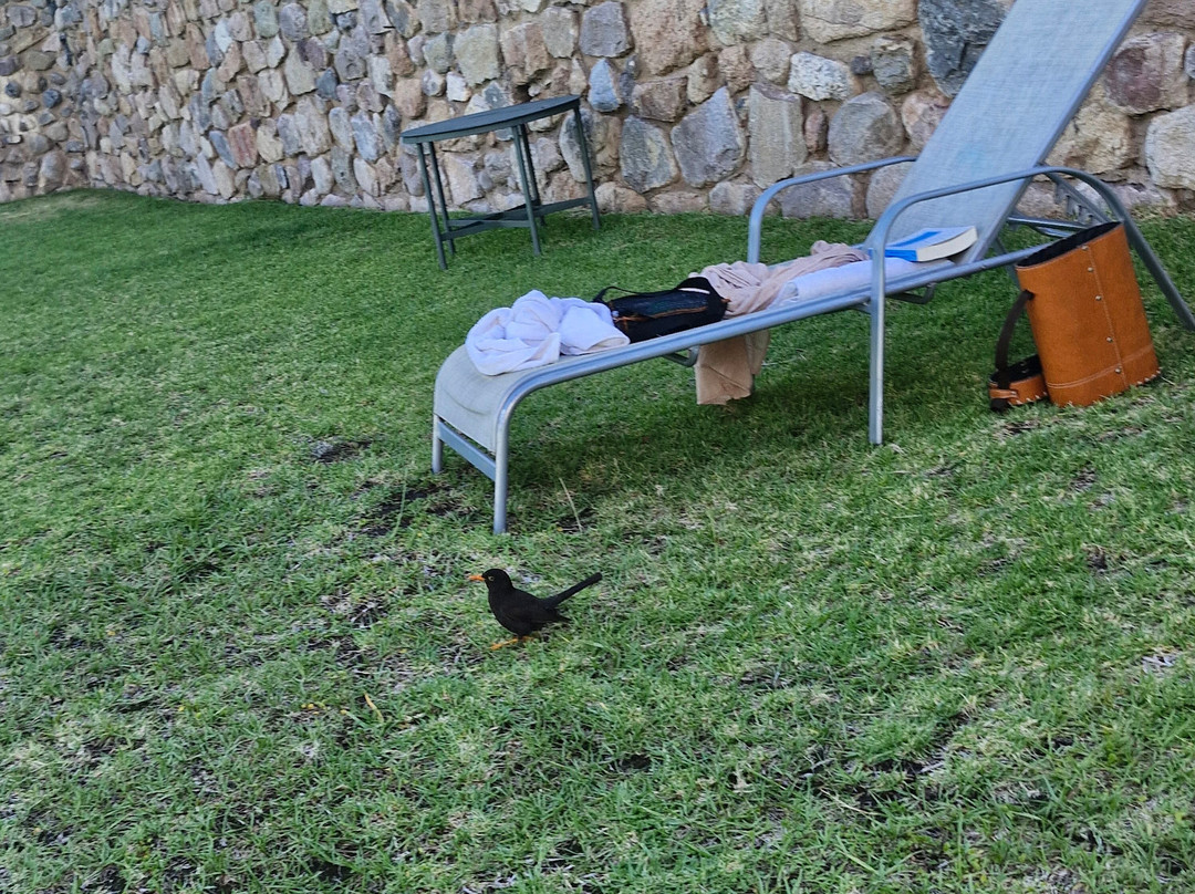 Gran Hotel La Cumbre主图