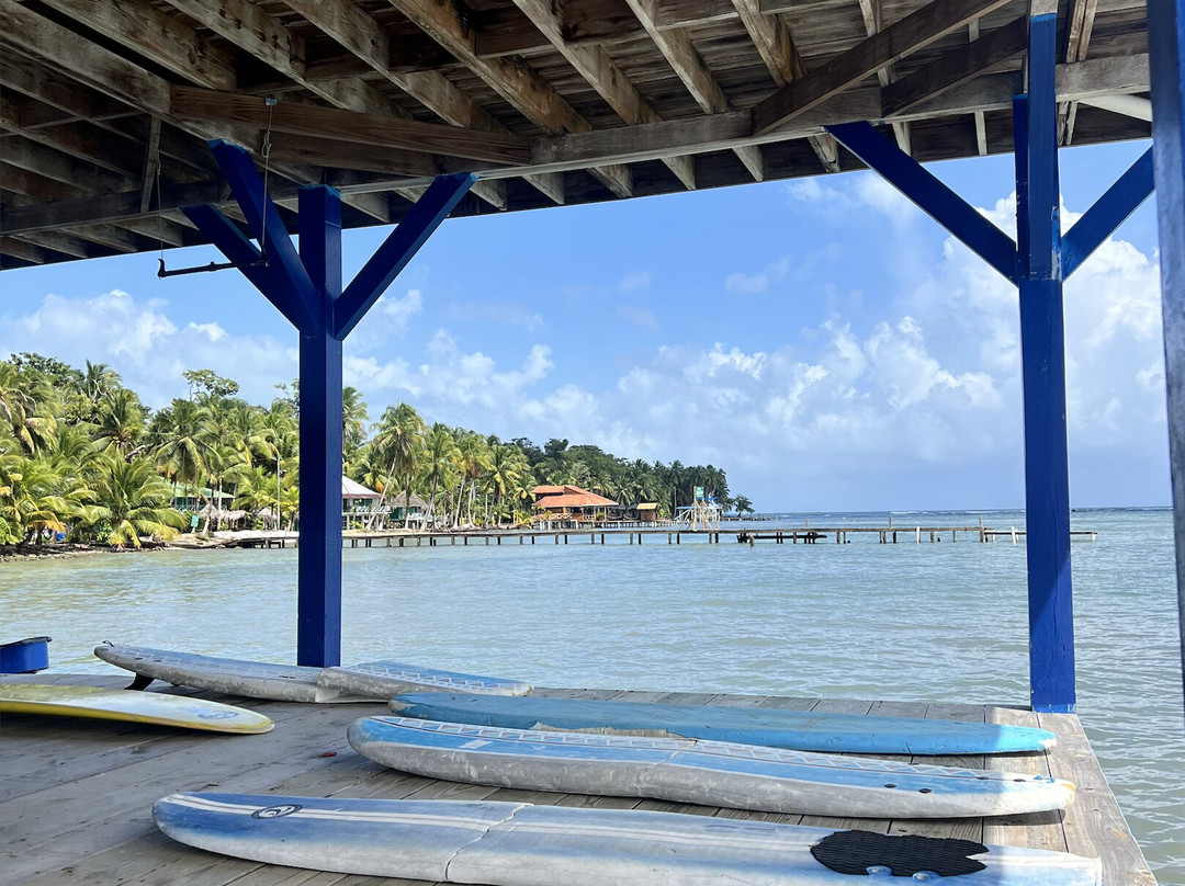 Escuela del Mar Surf School景点图片