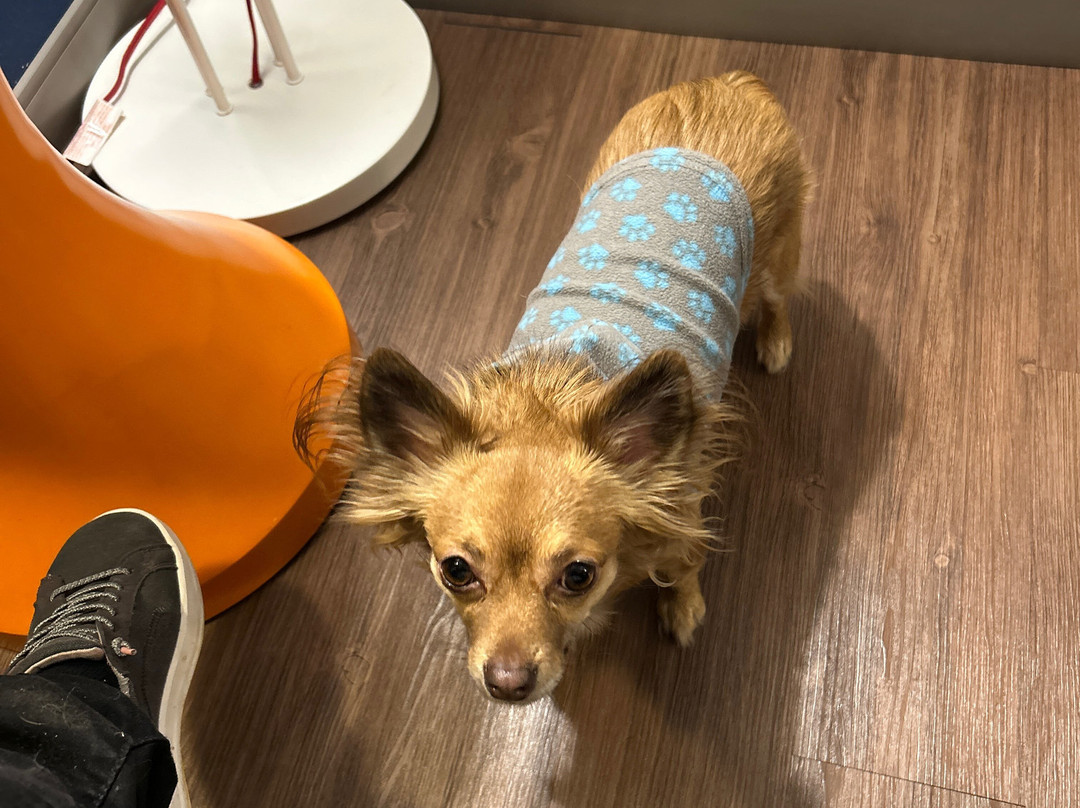 Tru by Hilton Lynchburg主图