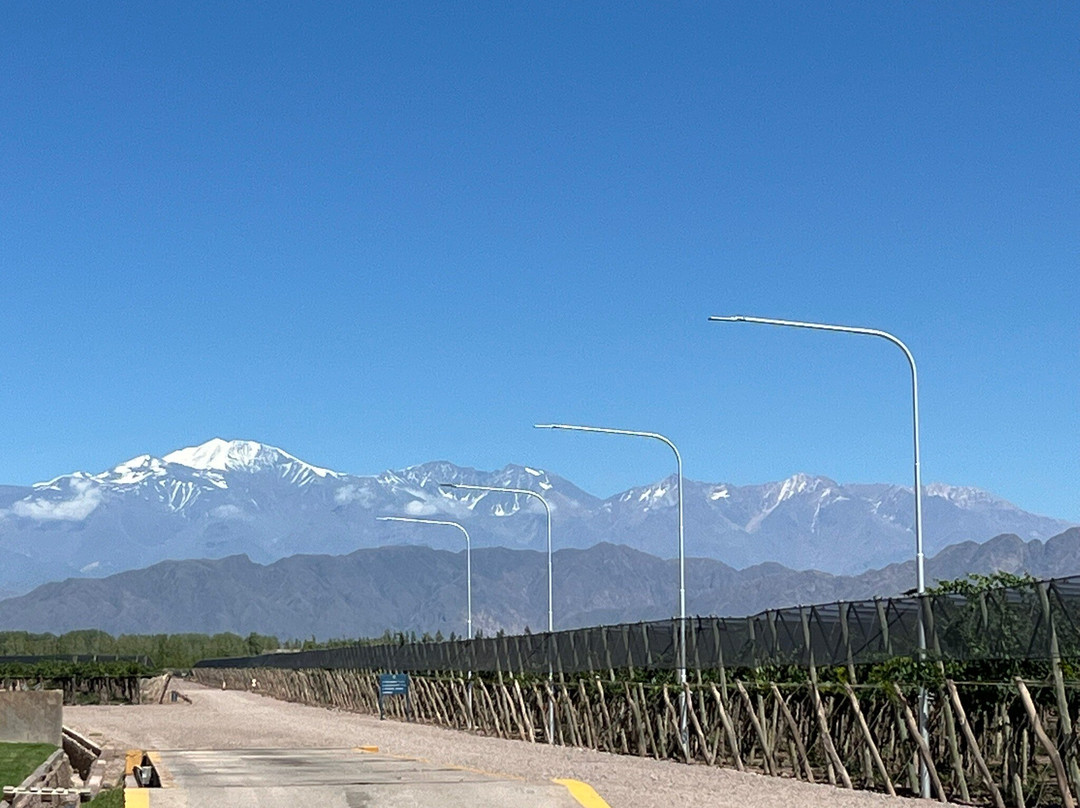 Palermo-布宜诺斯艾利斯必去景点