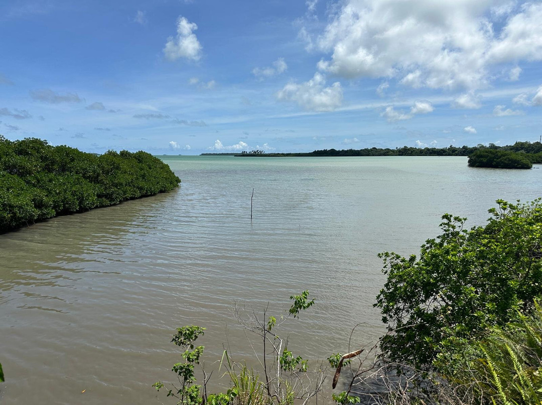 Captain Cook's Landing Place-Tongatapu Island必去景点