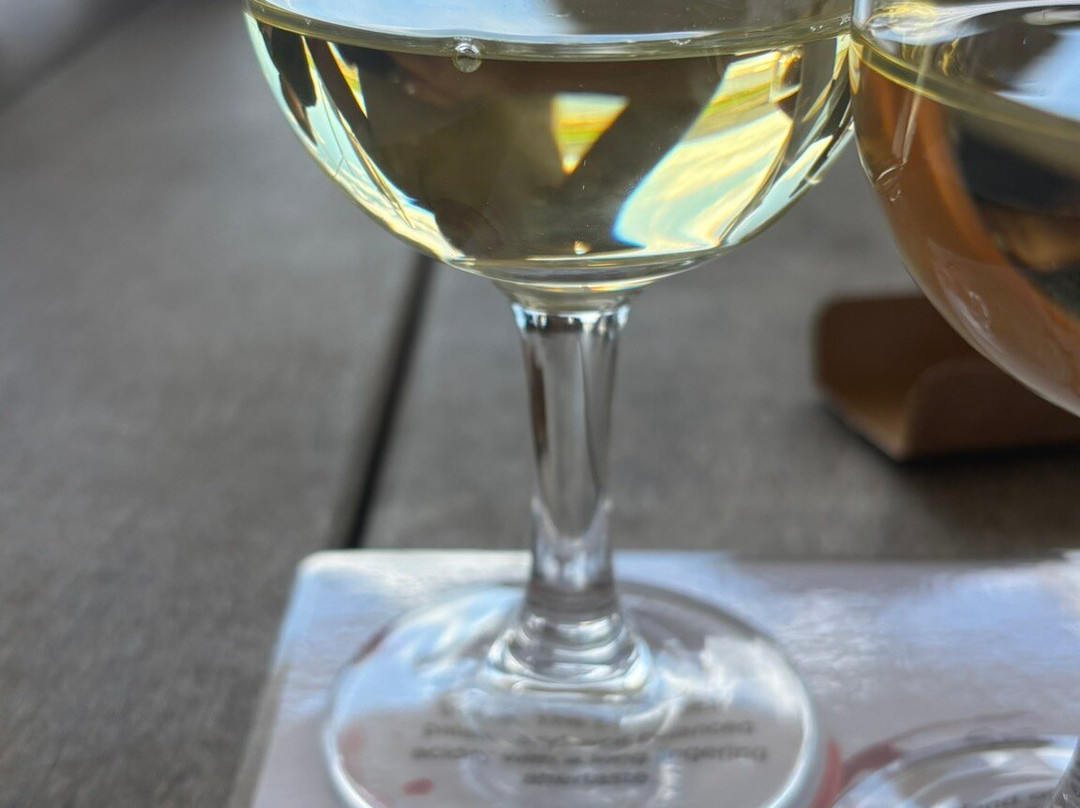 Lomond Wine Estate-干斯拜必去景点