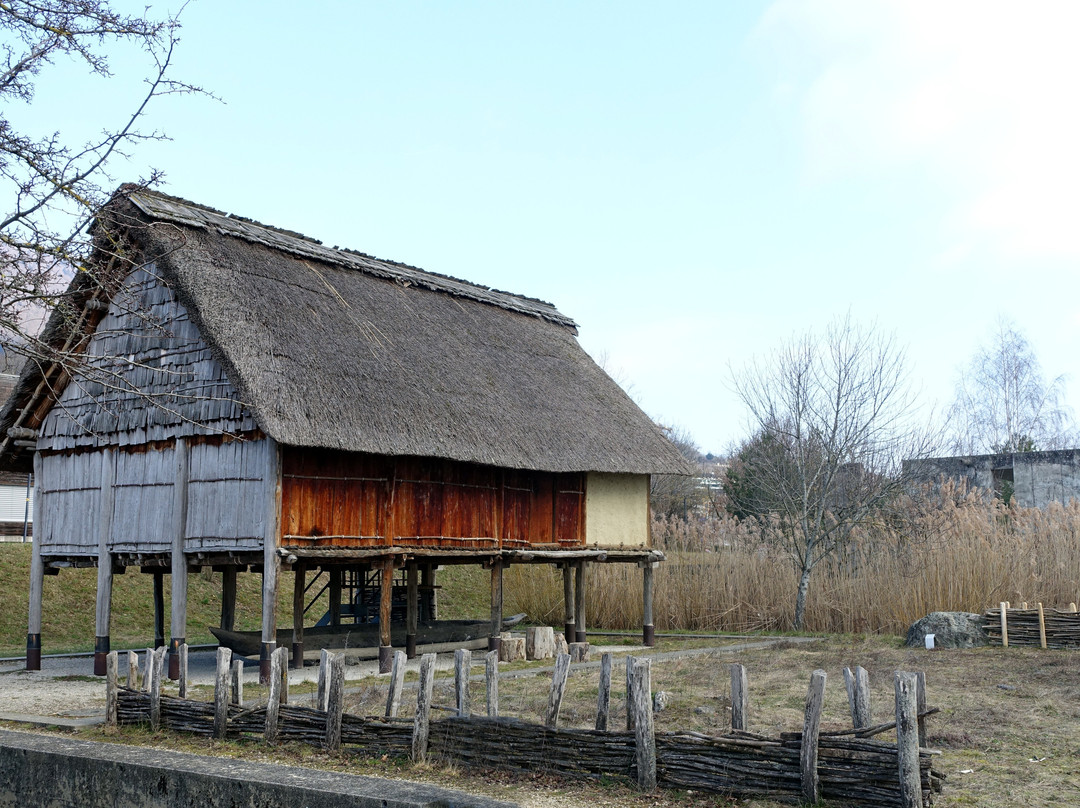 Laténium Parc et musée d'archéologie-Hauterive必去景点