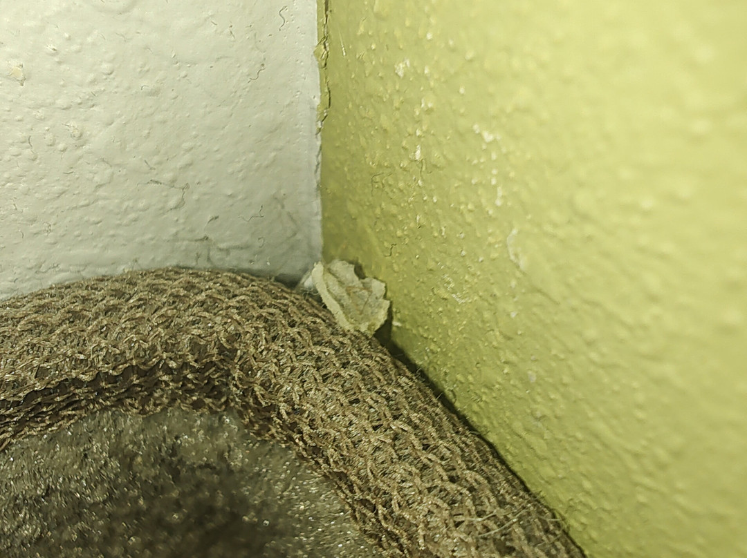 Holiday Inn Express & Suites Lenoir City (knoxville Area) By IHG主图