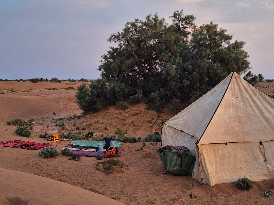 My Sahara Trek-迈哈米德必去景点