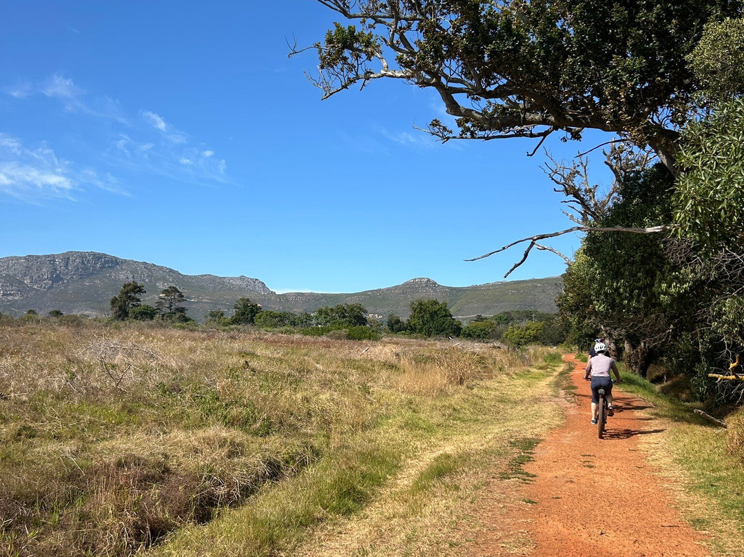 Ebike Cape Town-开普敦中心区必去景点