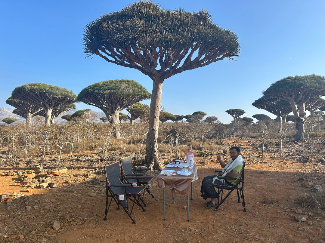 Socotra Safari Tours景点图片