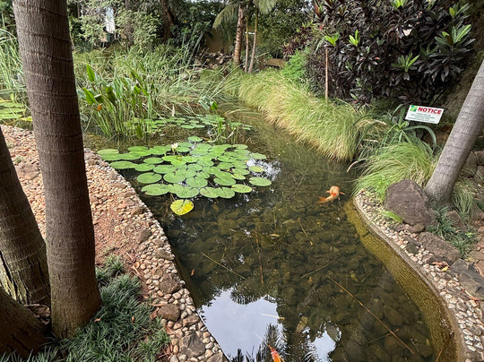 Sandy's Creations Resort主图