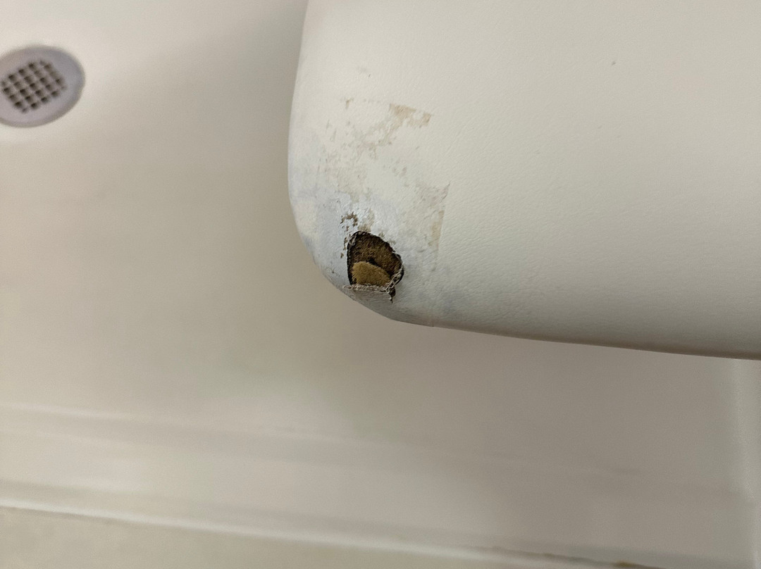 La Quinta Inn & Suites By Wyndham Sebring主图