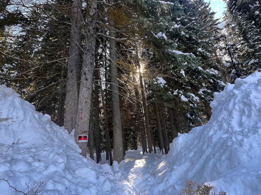 Brundage Bungalows主图