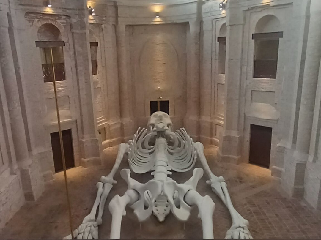 Calamita Cosmica - Centro Italiano Arte Contemporanea景点图片