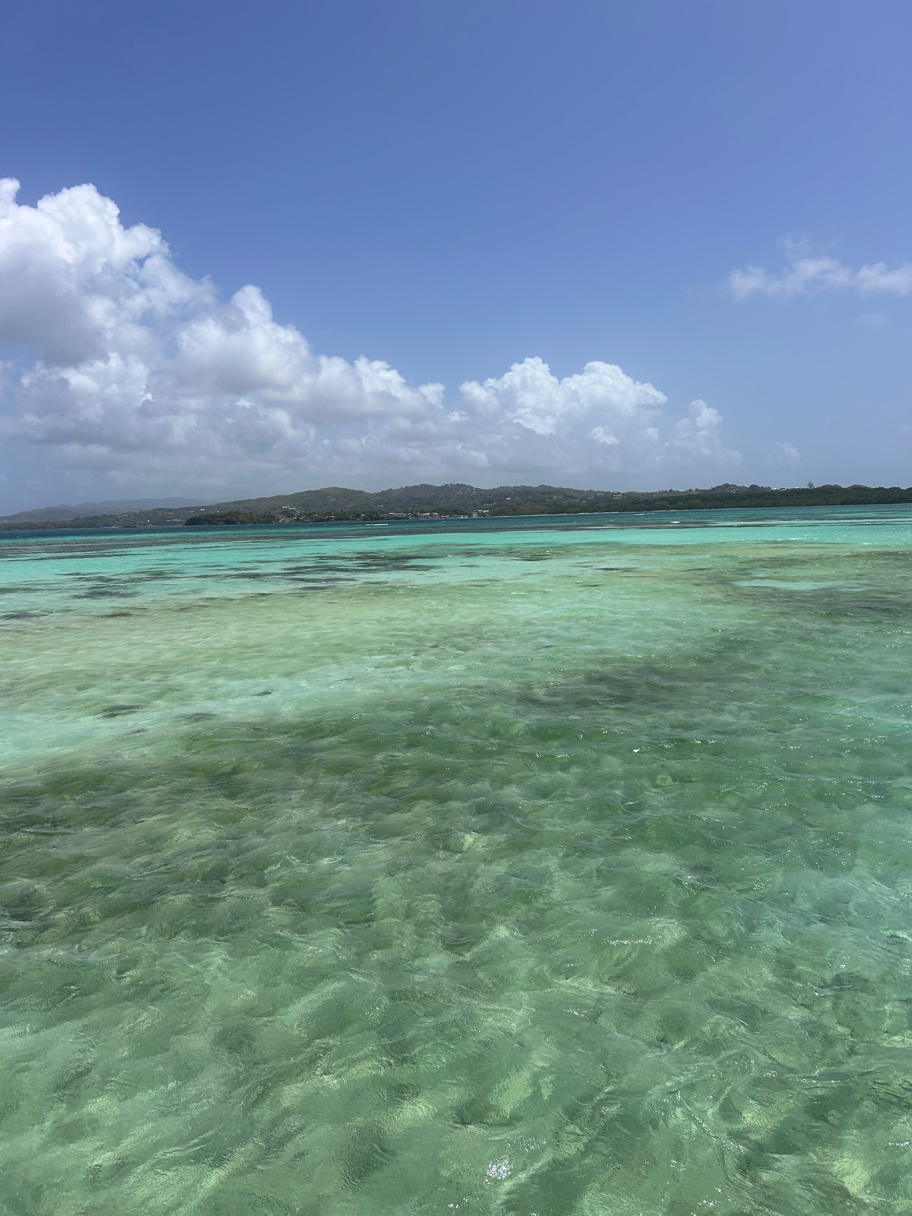 Sandy Point Beach Club-官方