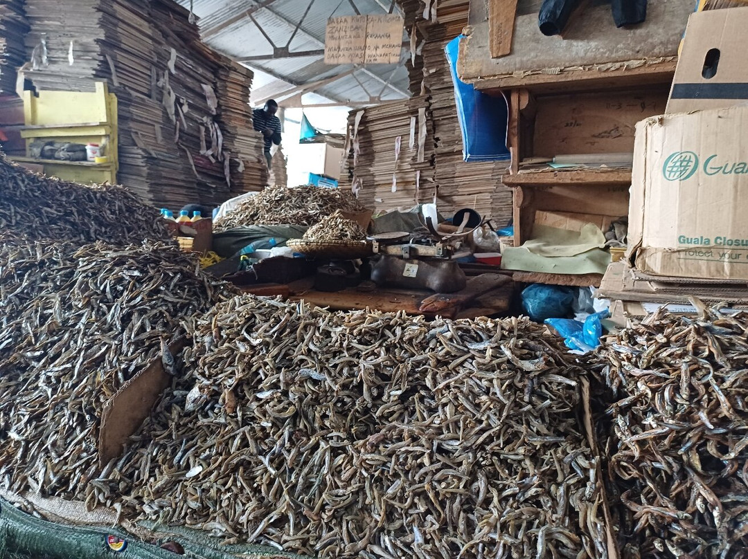 Manzige Tours-Mwanga必去景点