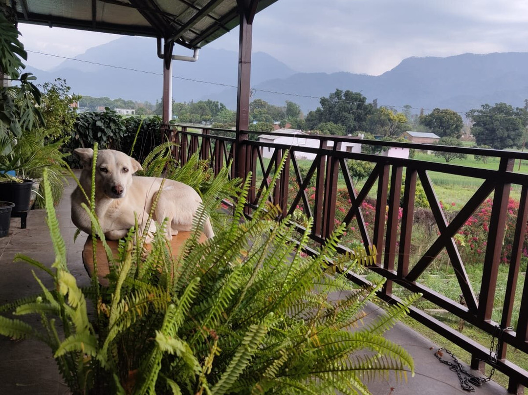 Forest Side Farm主图