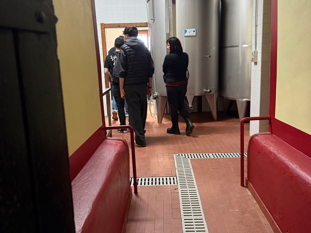Azienda Agricola Marino景点图片