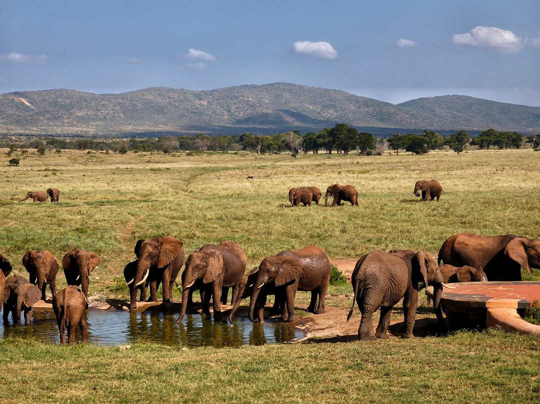 Beppe Watamu-瓦塔木必去景点