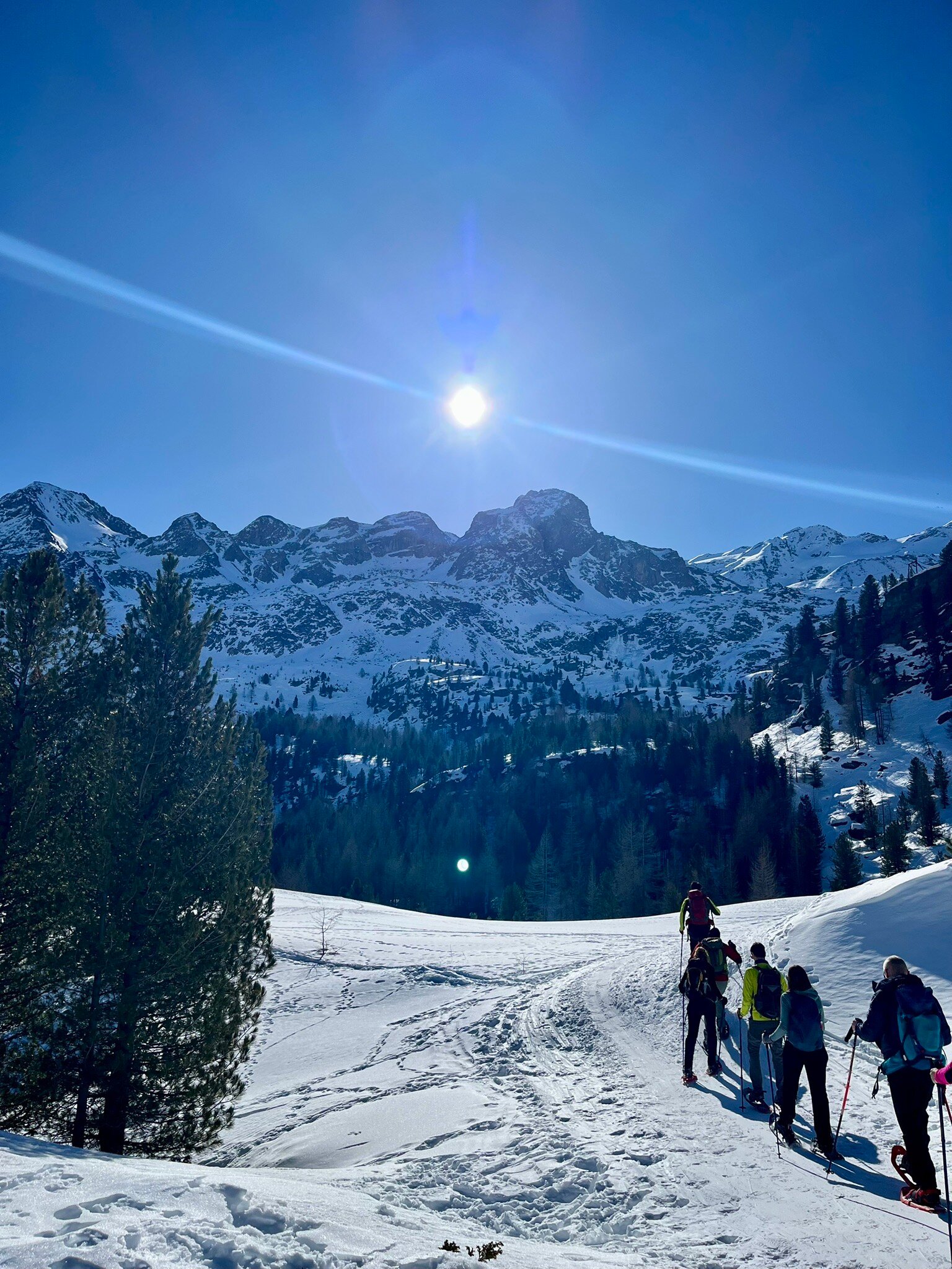 Alpengasthof Schönblick-官方