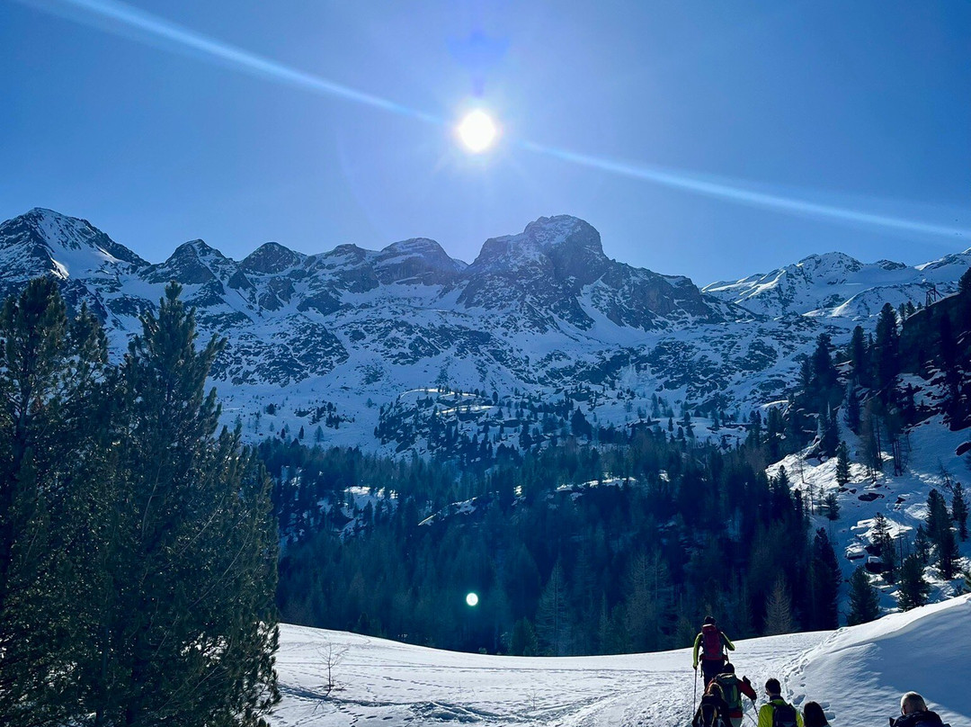 Alpengasthof Schönblick主图