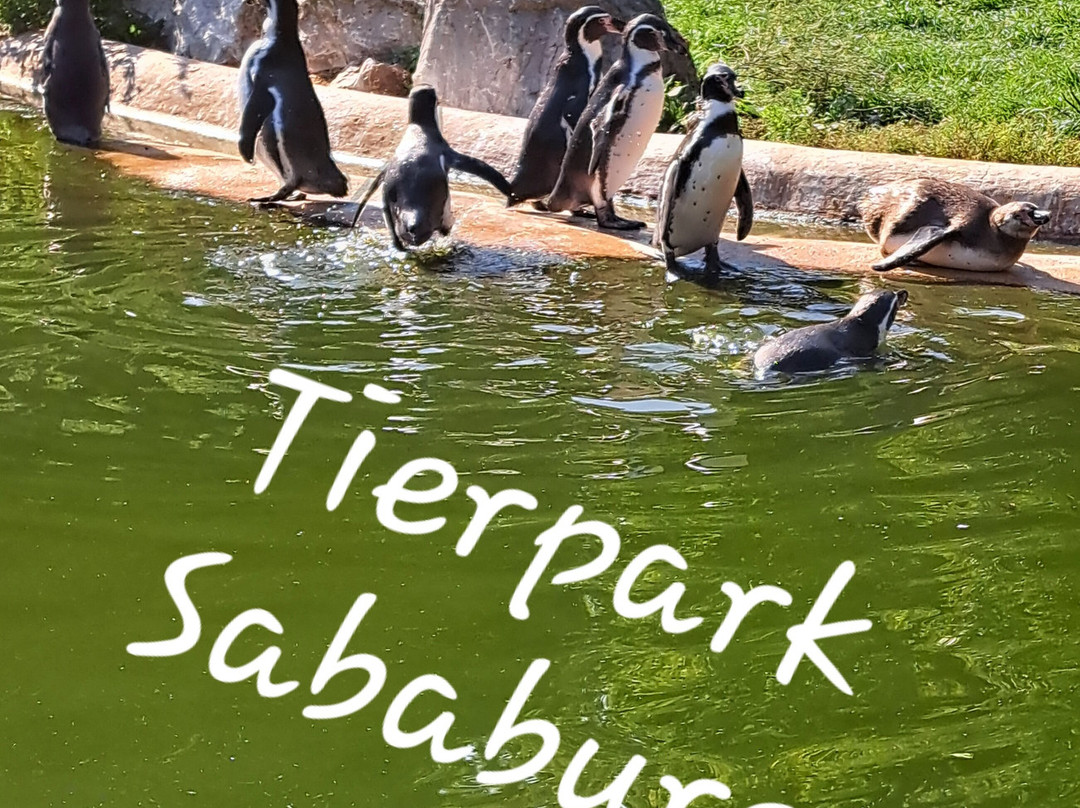 Tierpark Sababurg-Hofgeismar必去景点