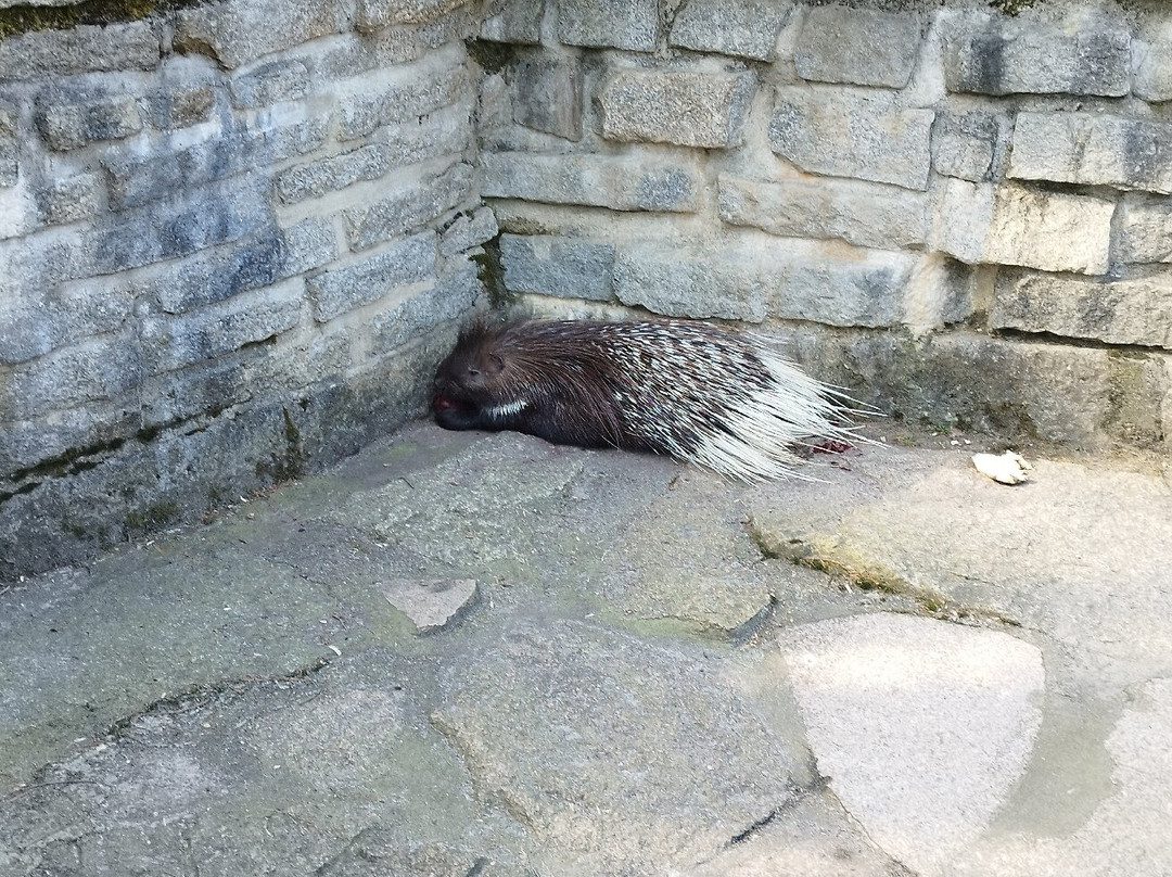 Tierpark Chemnitz-开姆尼斯必去景点