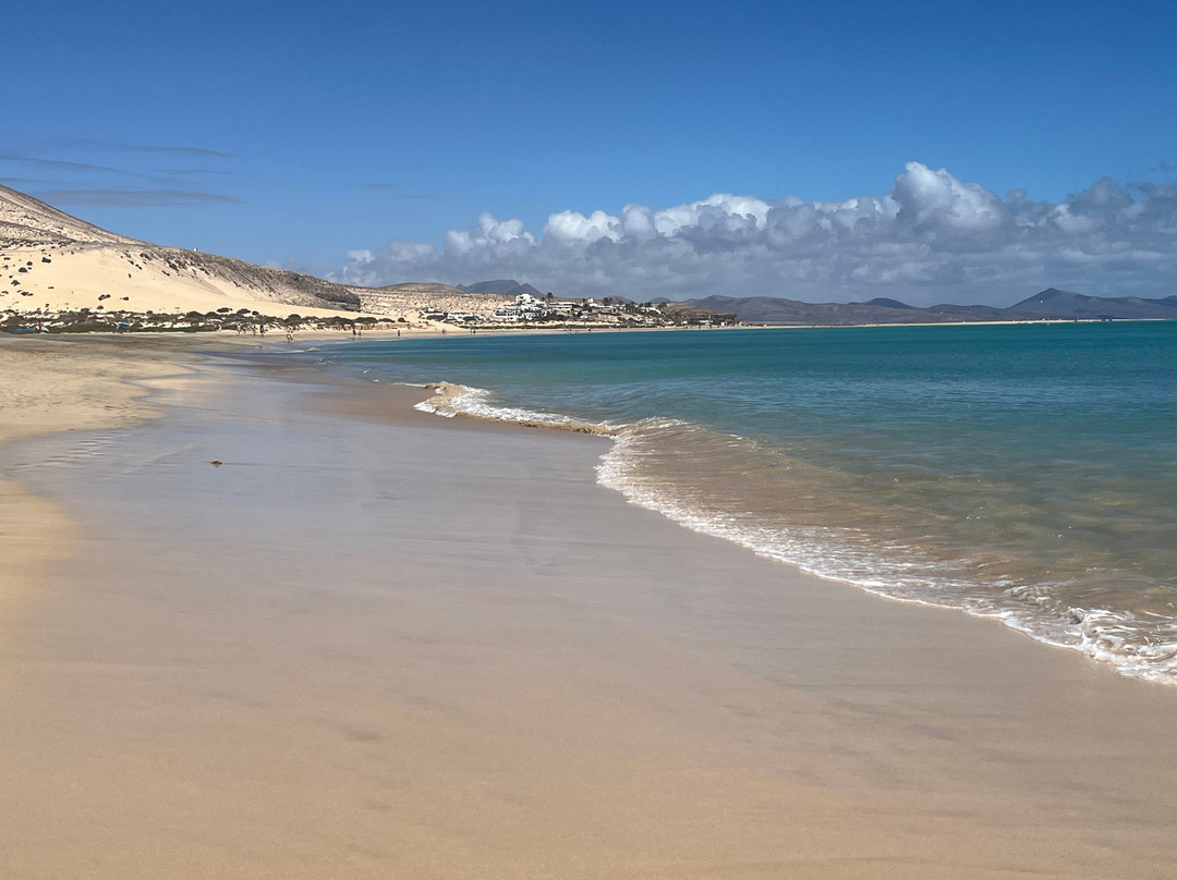 Playa de Sotavento景点图片