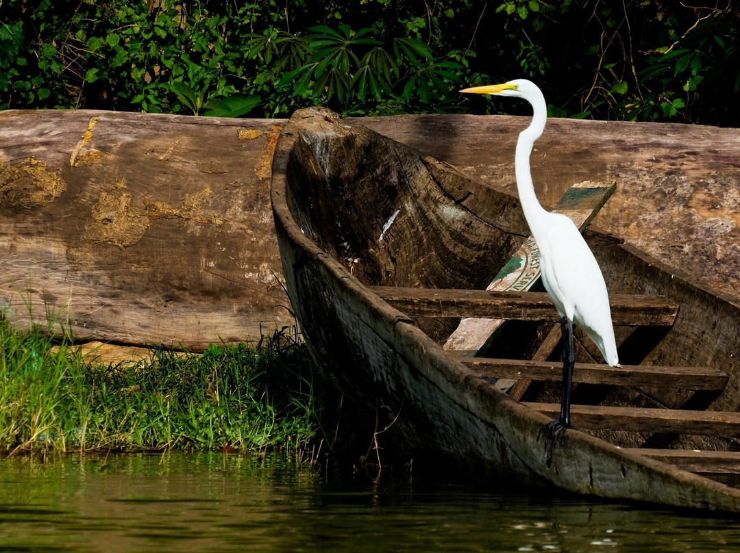 Lake Duluti-阿鲁沙必去景点