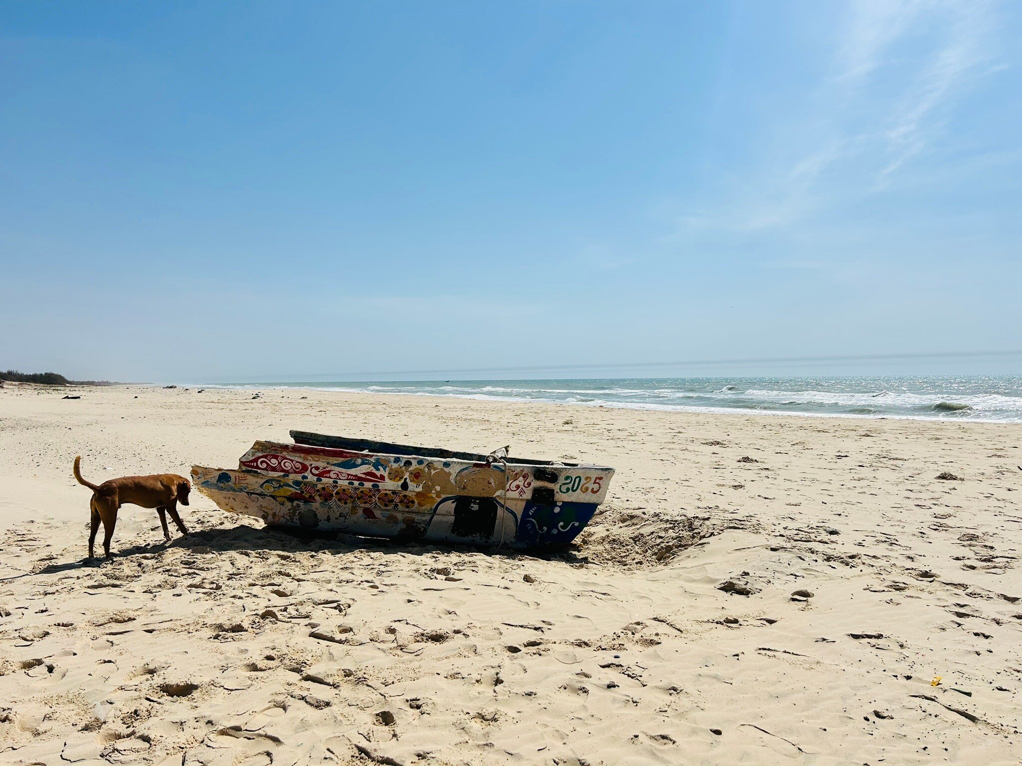 Hotel Diamarek on the beach-官方