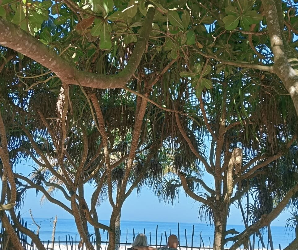 Arcade Beach Hotel主图