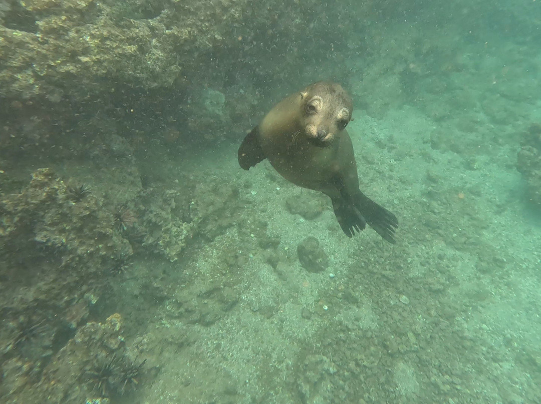 Rabida Island-Rabida必去景点