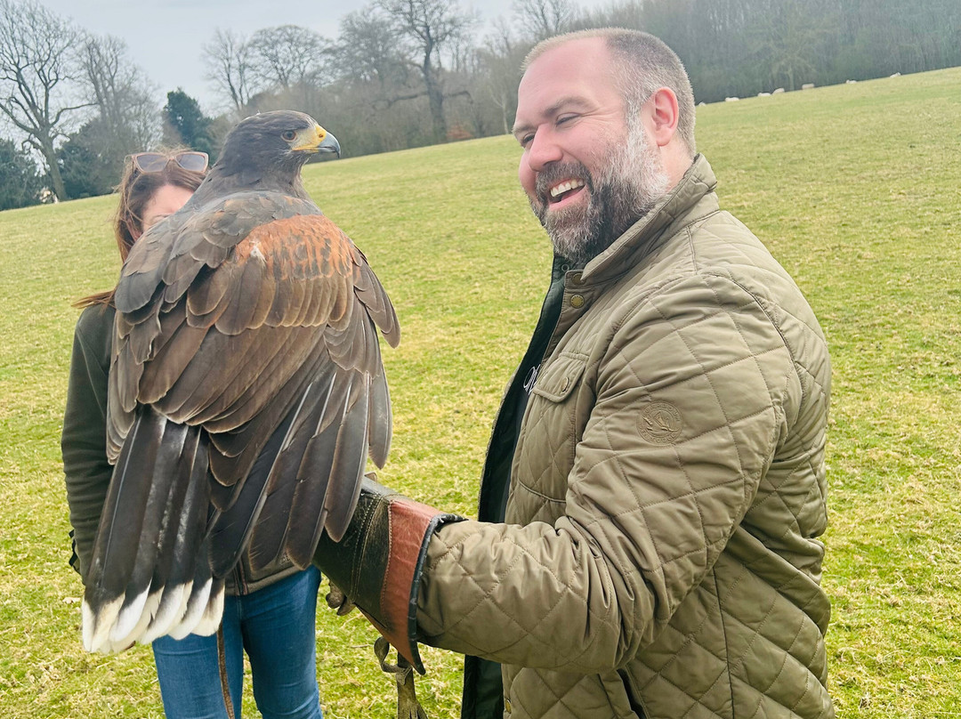 Joe's Bows-Faversham必去景点