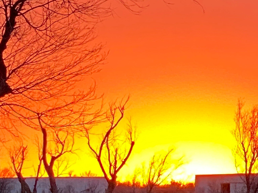 Recreation Park-Pampa必去景点