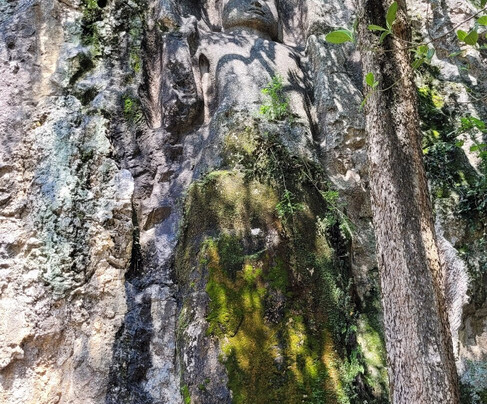 Biwonway Travels-Divulapitiya必去景点