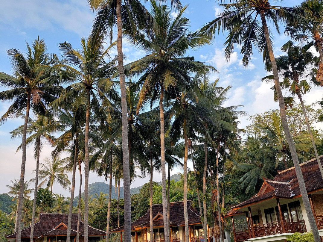 龙目岛旅游度假村主图