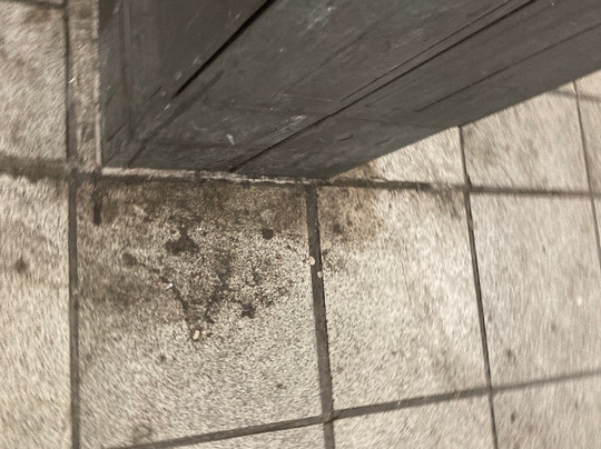 Bremen Hauptbahnhof-不莱梅必去景点